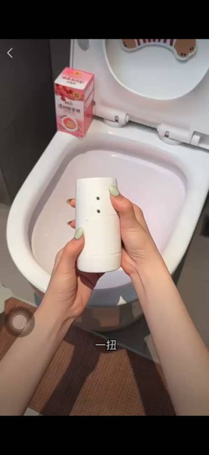 BLOC DESODORISANT POUR LE POT